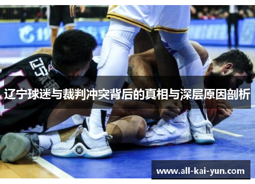 辽宁球迷与裁判冲突背后的真相与深层原因剖析