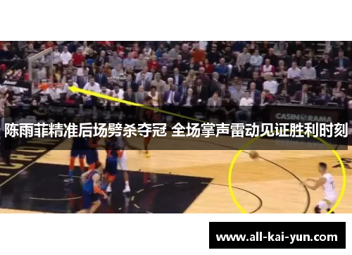陈雨菲精准后场劈杀夺冠 全场掌声雷动见证胜利时刻